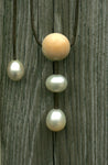 South Sea Pearls & Fossil Ivory on Leather